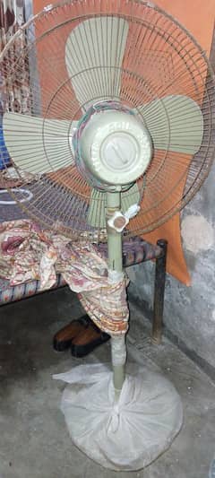 Adil floor Fan