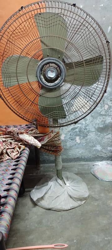 Adil floor Fan 4