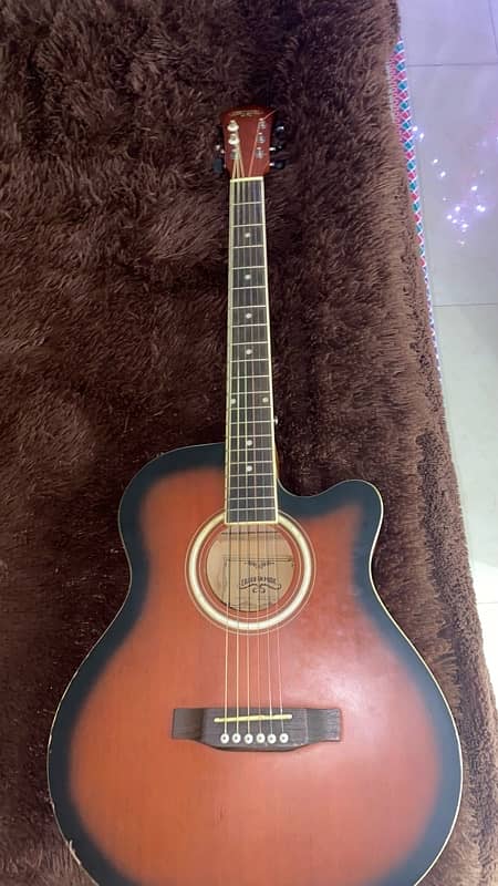 Professional Acoustic Guitar 0