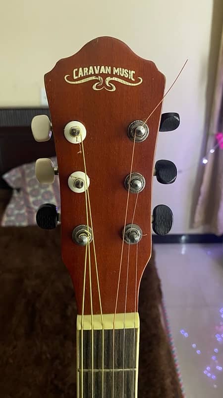 Professional Acoustic Guitar 3