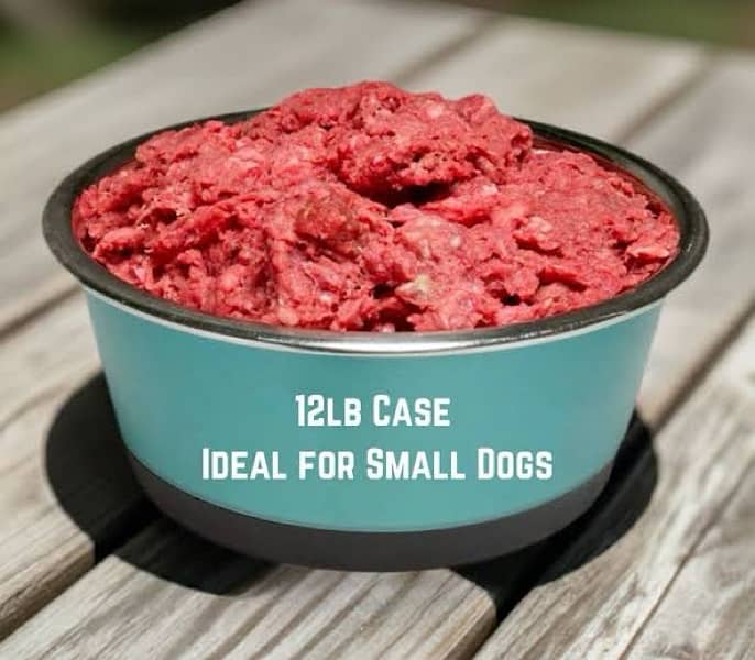 Dogs and cats Food 1