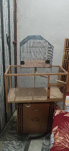 cages for sale dono ki price 3500