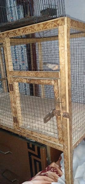 cages for sale dono ki price 3500 5