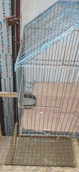 cages for sale dono ki price 3500 6