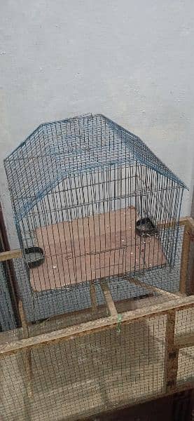 cages for sale dono ki price 3500 8