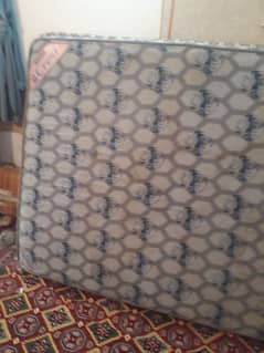 molty foam mattres spring mattress size 60/78 8inch mota