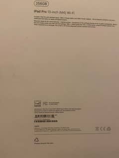 Apple Ipad Pro M4 13"