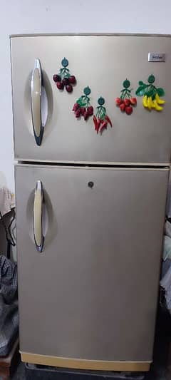 Hair Refrigerator