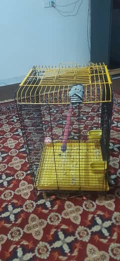 master cage large