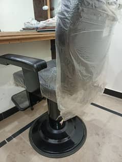 Salon Chair