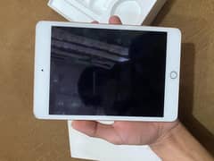 ipad mini 5