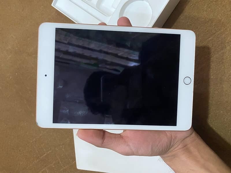 ipad mini 5 0