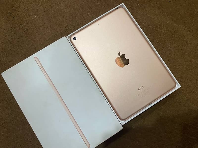 ipad mini 5 1