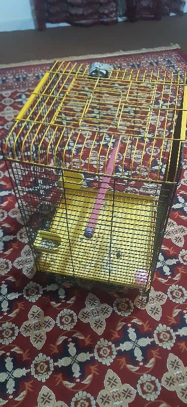 master cage for large parrots 2