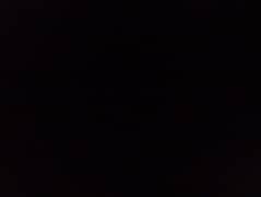 driver required for car . Indiver yango