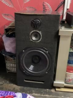 12 inch bass boosted speaker with tweeters