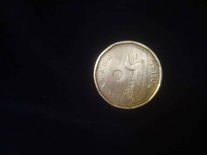 Canadian Dollar Rare Coin 1