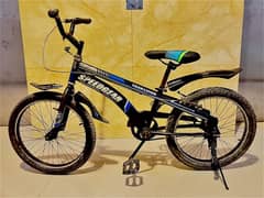 Trekliner bicycle 7-10 yrs age