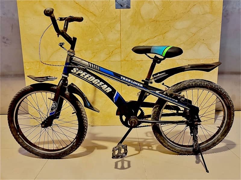 Trekliner bicycle 7-10 yrs age 0