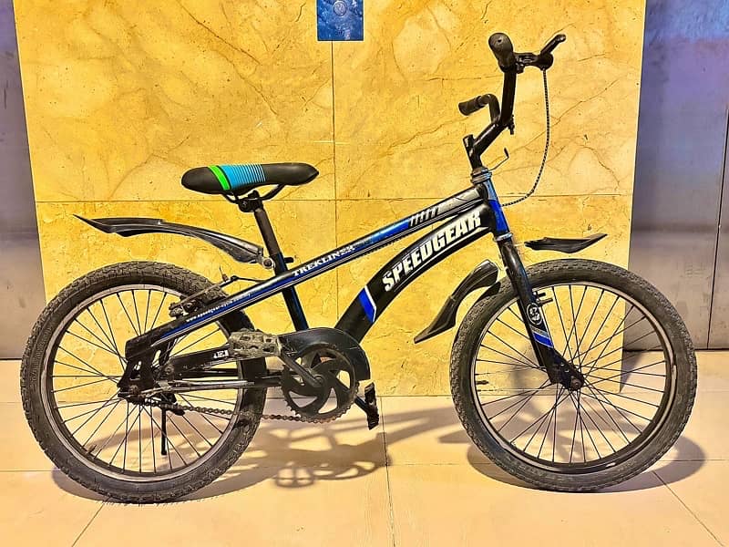 Trekliner bicycle 7-10 yrs age 1