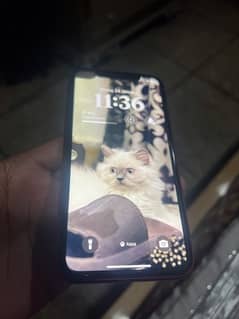 iPhone 11 for sale