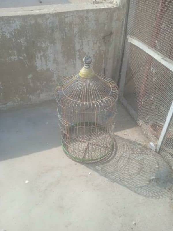 cage for birds 1