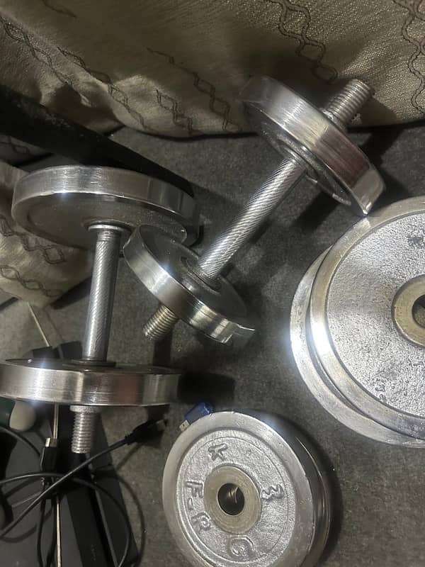 Iron Dumbbells 2