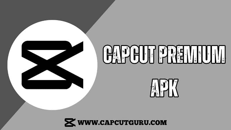 RS 100. .  CapCut Premium Pro 1