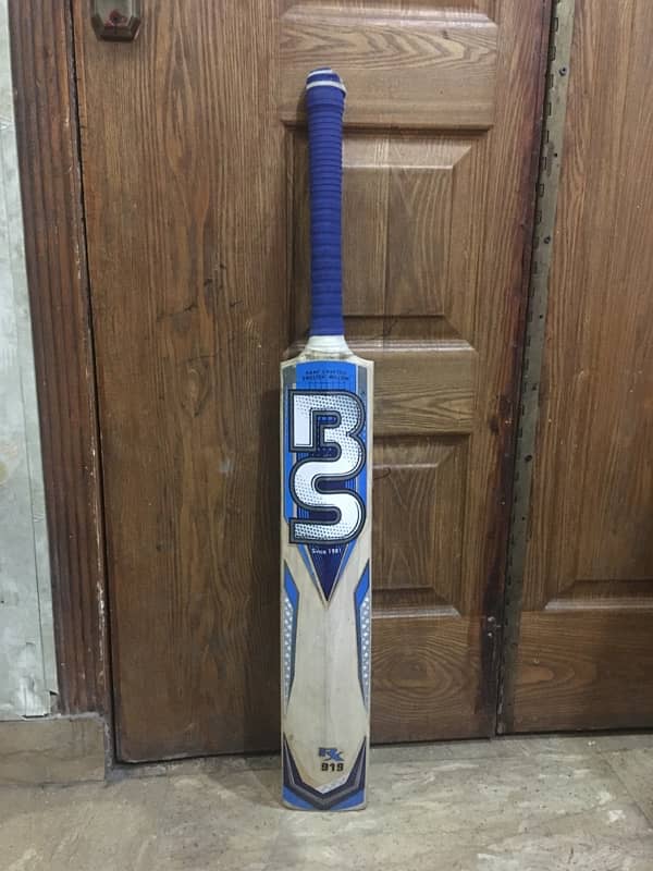 ss English  willow  bat for professional players 1