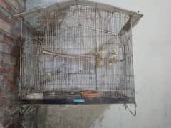 cage kothi Wala 2000 or 1.5*1.5 1000 par cage