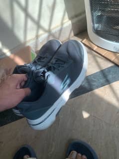 Skechers GOwalk 5