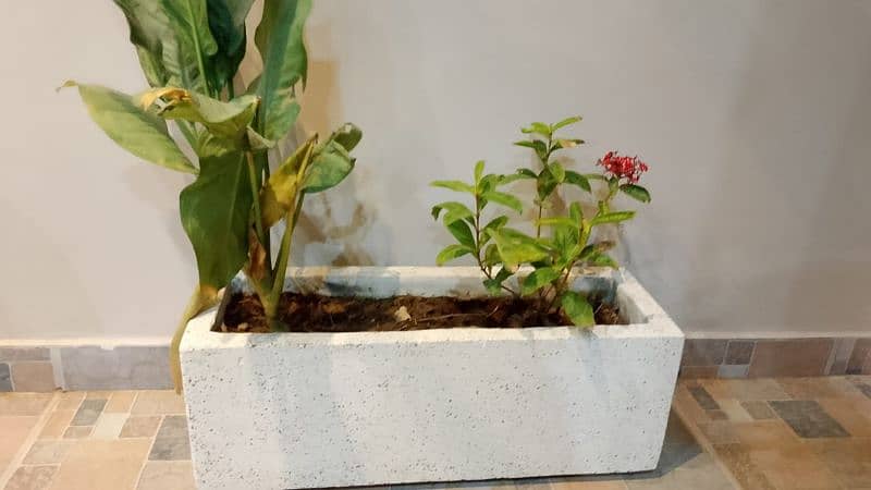 Precast outdoor garden cement planter flower pot 0