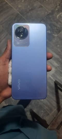 vivo