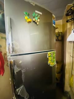 Electrolux jumbo size fridge