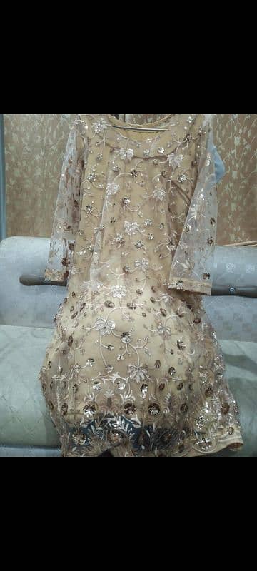 Fancy frocks 11