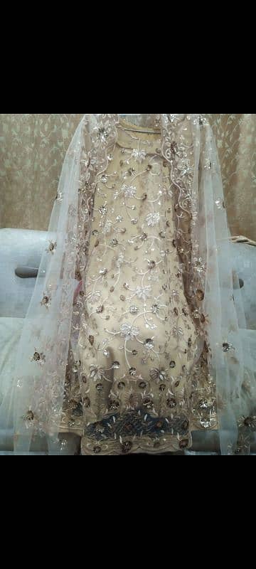 Fancy frocks 12