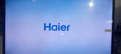 Haier