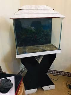 good condition Aquarium