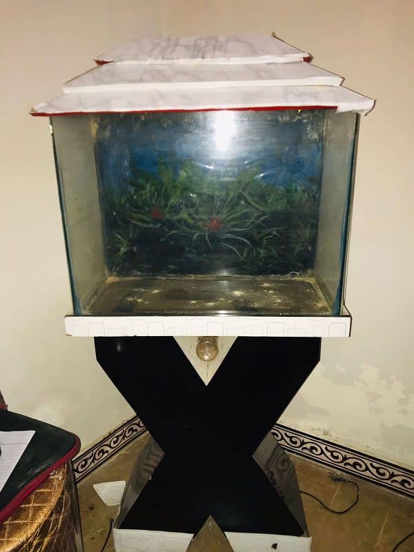 good condition Aquarium 1