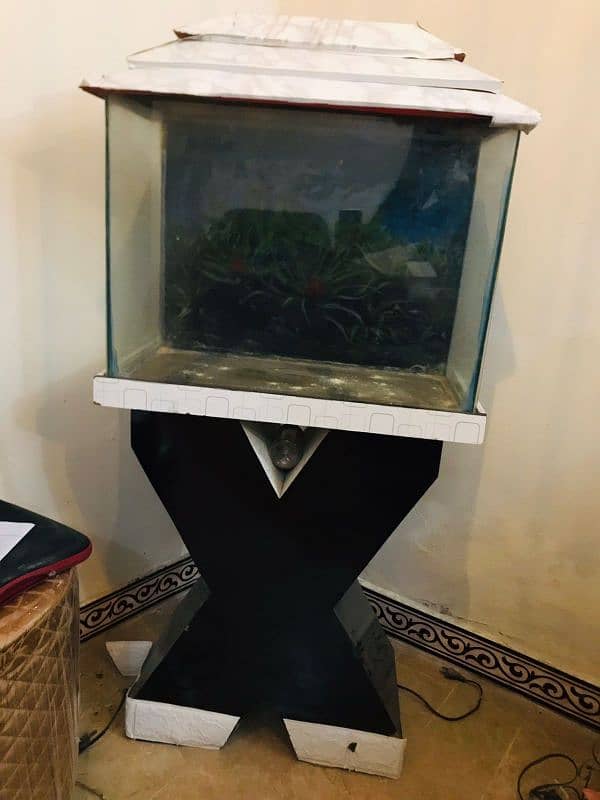 good condition Aquarium 2