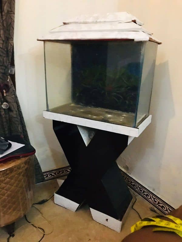 good condition Aquarium 3