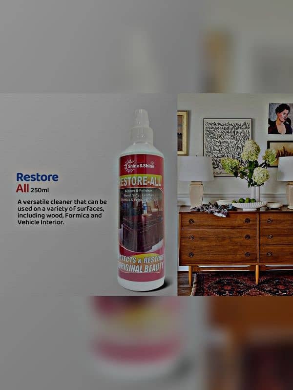 bleach phyenal glass cleaner and restore all house hold 2