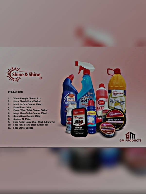 bleach phyenal glass cleaner and restore all house hold 9