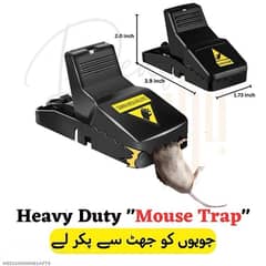 Mouse Trap Pack of 3 Available