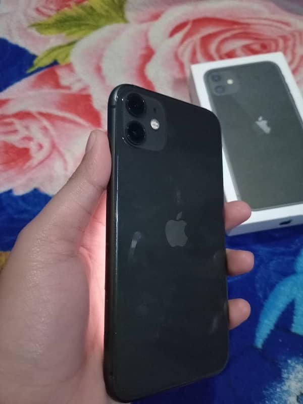 iPhone 11 0