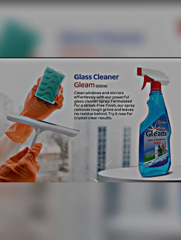 Bleach | Phynel | glass cleaner | restore all and shoes polish 2