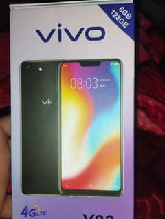 Vivo