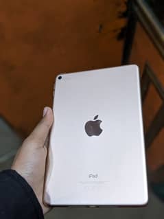 ipad mini 5 64gb just ipad