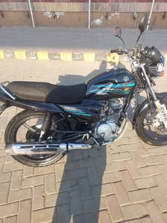 ybr 125z dx lush condition 2024 model