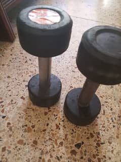 1 kg dumbbell pair